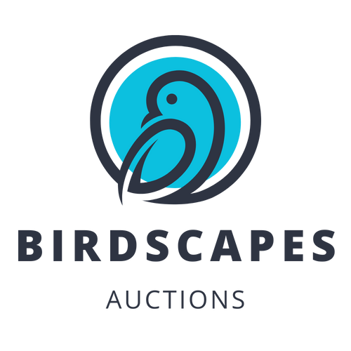 Birdscapes Auctions