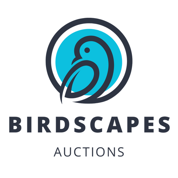 Birdscapes Auctions